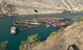 В Джалал-Абадской области проходил мониторинг рыбных хозяйств