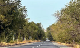 Как подготовить организм к осенне-зимнему периоду? Советы от медиков