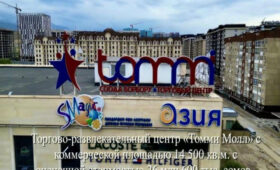 Владелец «Аю» передал государству торговые центры и промышленные объекты