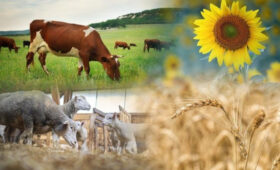 Нацстатком сообщает о подготовке к Сельскохозяйственной переписи 2025 года