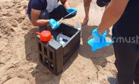 В соцсетях появилась информация касательно воды в водоемах Оша: Санэпидемнадзор дал разъяснение