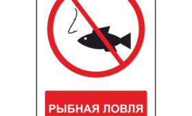 Трое граждан Китая задержаны за незаконный лов рыбы в Ала-Букинском районе