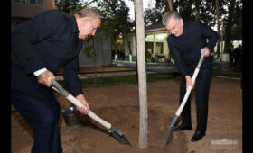 Президент Узбекистана дал указание увеличить осенние посадки деревьев