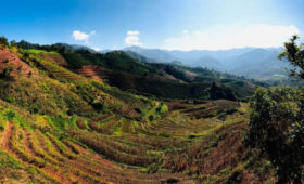 Аромат юньнаньского кофе наполнил весь мир и чувствуется в Кыргызстане