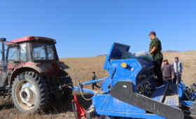 В Ала-Буке стартовали осенние полевые работы