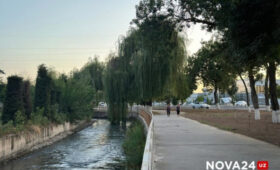 В Узбекистане введут наказание за бетонирование зеленых участков