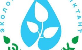 «ЭкоТолк» — проверьте свои знания по экологии