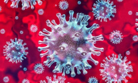 В Кыргызстане изучили особенности распространения COVID-19 среди медиков