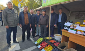 «Восстановление ореховых лесов Арсланбоба должно стать национальной идеей»