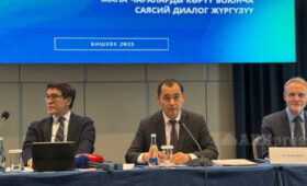 Замглавы Кабмина рассказал, от чего скончались автор флага Кыргызстана и сотрудник Администрации президента