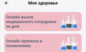В приложении «Түндүк» можно онлайн прикрепиться к поликлинике и вызвать врача на дом