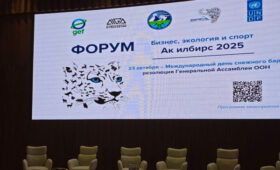 Кыргызстан стал центром глобального диалога о защите снежного барса