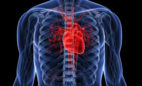 Нацстатком: Сердечно-сосудистые и онкологические заболевания лидируют среди причин смерти в Кыргызстане