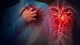 Ученые нашли молекулу, которая помогает сердцу восстанавливаться после инфаркта