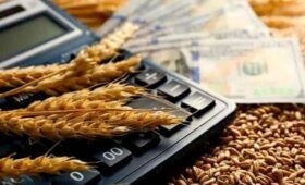 Фермеры получили первые льготные кредиты на развитие семеноводства