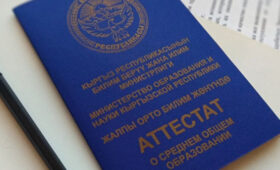 Акыйкатчы помогла  студентке-сироте перевестись в колледж Каракола