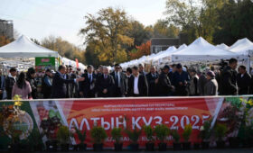 В мире вырос интерес к экологически чистой продукции из Кыргызстана