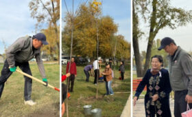 На «Аллее жизни» высадили более 100 деревьев как символ победы над раком