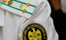 В Кыргызстане появится налоговая «полиция»