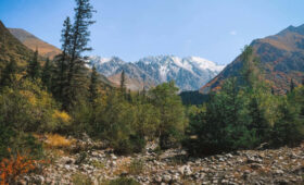 Спасатели оказали помощь ребенку в природном парке «Ала-Арча»