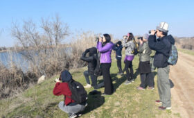 В ряде школ Кыргызстана открылись клубы любительской орнитологии