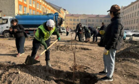 На территории Джальской больницы высадили саженцы в честь детей с онкологией 