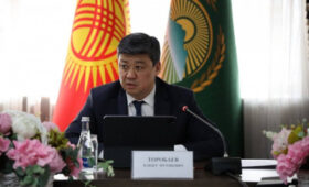 Товарооборот между Кыргызстаном и Китаем растет в аграрном направлении