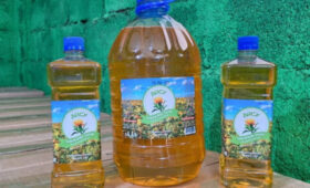 В Таласе успешно работает цех по производству софлорового масла «Айсу»