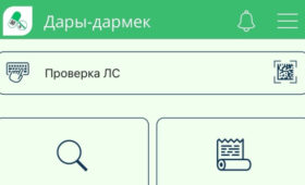 Каждый кыргызстанец может искать лекарства через мобильное приложение «Дары-Дармек», — ДЛО