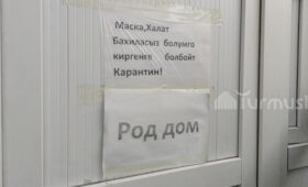 Смерть роженицы и её младенца: Подробности