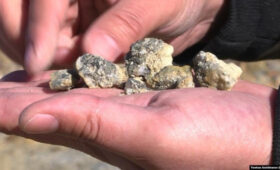 Казахстан и США будут вместе добывать вольфрам в Карагандинской области