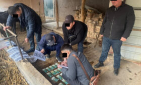 При задержании сотрудник ОВД Оша пытался выбросить деньги в туалет