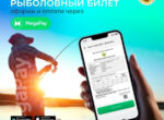 В Кыргызстане внедрена система электронных рыболовных билетов