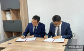 «Кыргызфармация» и «Биовит» защищают лекарственную безопасность страны