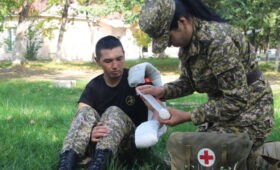 Военные медики смогут повышать квалификацию в гражданских клиниках