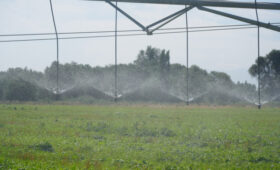 Узбекистан предложил Центральной Азии создать Цифровой аграрный альянс