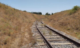 На границе Казахстана и Узбекистана скопилось 11 тысяч вагонов