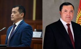 Эркин Чечейбаев освобожден от должности министра здравоохранения