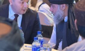 Бизнесмены Кыргызстана и Афганистана заключили 11 договоров на $157 млн