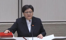 В отдаленных районах необходимые вернуть родильные койки, — депутат 