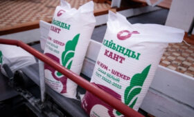 Урожай свеклы позволит Кыргызстану полностью обеспечить страну сахаром