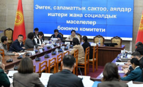 Профильный комитет ЖК одобрил в первом чтении законопроект о бюджете ФОМС