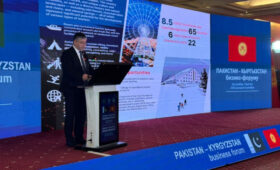 Кыргызстан и Пакистан планируют расширять совместные инвестиционные проекты