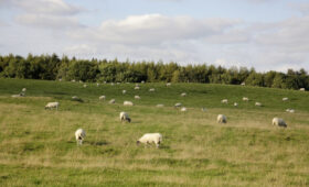 Минсельхоз КР призывает строго соблюдать земельное законодательство