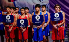 В Кыргызстане стартовало первенство страны по боксу среди молодежи