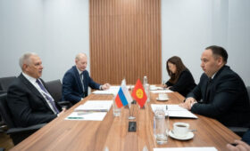 Россельхознадзор заинтересован в поставках продукции из Кыргызстана