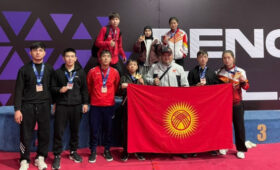 Сборная Кыргызстана по пенчак силату завоевала призовые места на кубке содружества в Ташкенте
