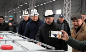 Президенту показали завод по производству кормов для рыб в Чуйской области