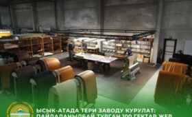 В Ысык-Атинском районе строится кожевенный завод
