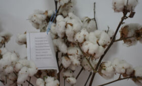 В Кара-суу открыт обновленный корпус хлопководческой станции